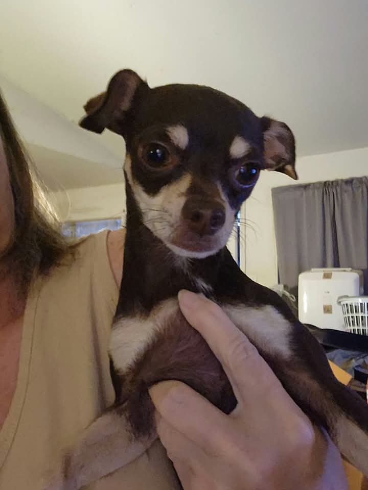 Cookie's photo